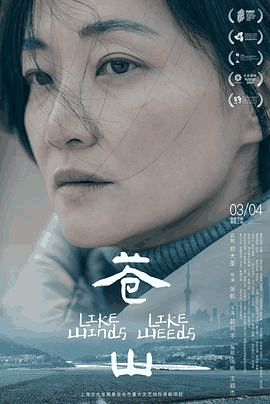 达达兔电影网_《苍山》电影海报在线看